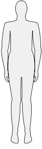 Male Body Silhouette Svg Vector File Vector Clip Art Svg File    