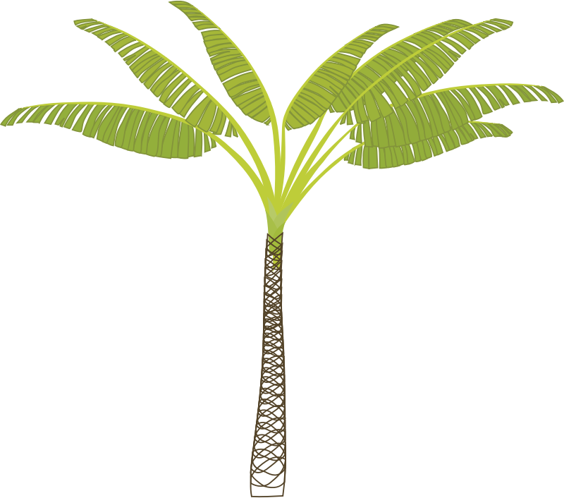 Palm Tree By Gbig95   Illustrator Created Small Palm Tree With