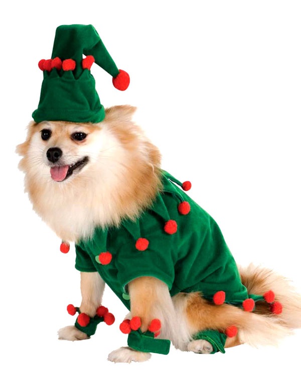 Pet Christmas Costumes   Clipart Best   Clipart Best