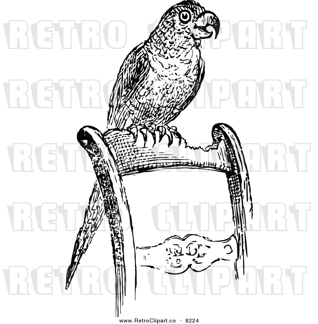 Vector Clipart Of A Retro Black And White Pet Parrot On A Chair By