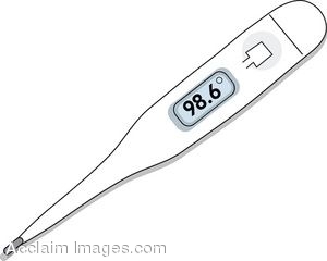 Description  Clip Art Of A Thermometer With A Digital Display  Clip    