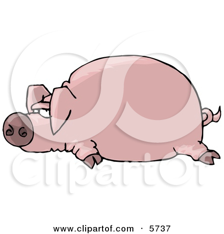 Fat Pink Pig Laying On The Ground Clipart Illustration By Djart  5737