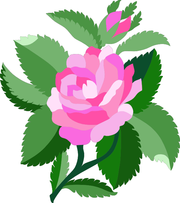 Pink Rose Clip Art Pink Rose 2 Png