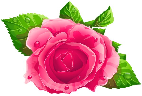 Pink Rose Clipart   Rosas   Pinterest