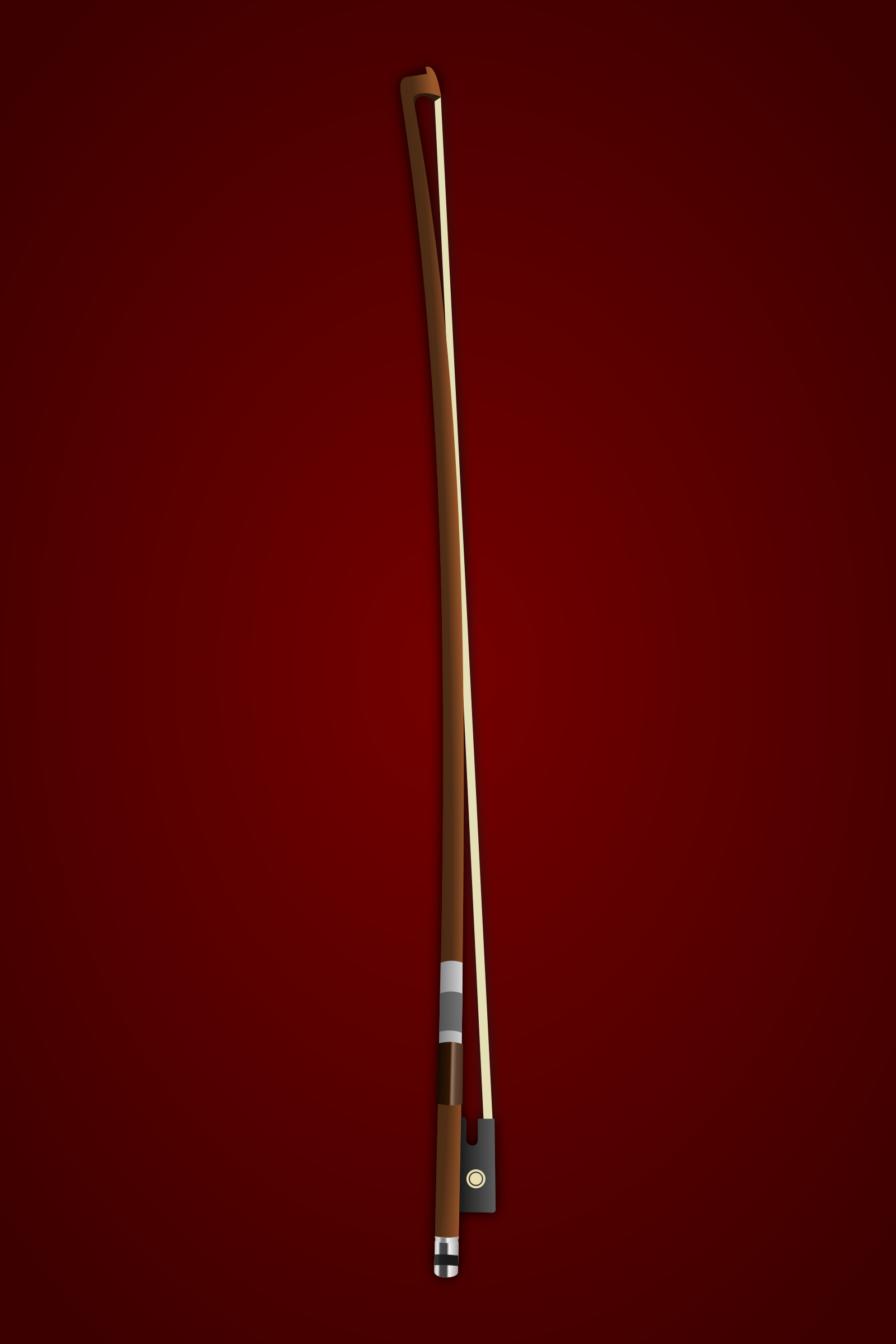 Violin Bow By Rooven