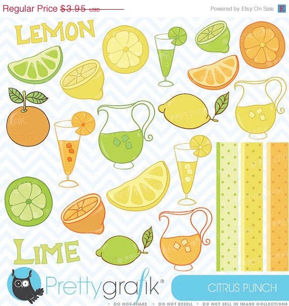 Citrus Lime Lemon Orange Clipart Commercial Use Vector Graphics D    