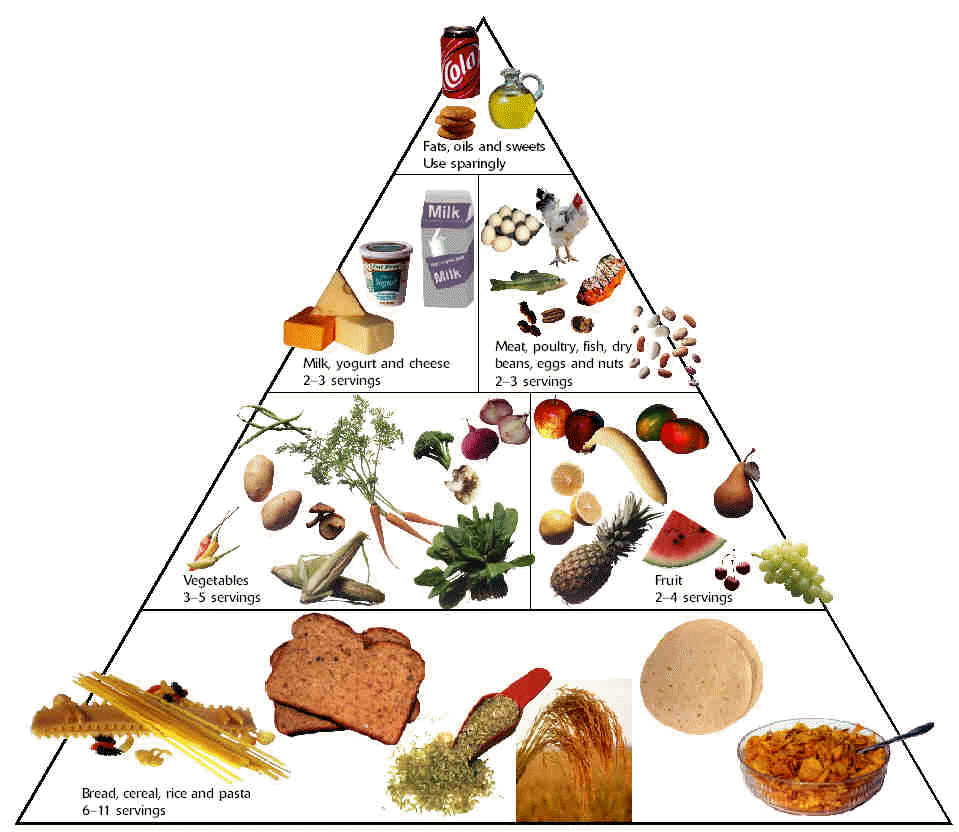 Eat Love Adjust  Tales Of The Misunderstood  The Food Pyramid