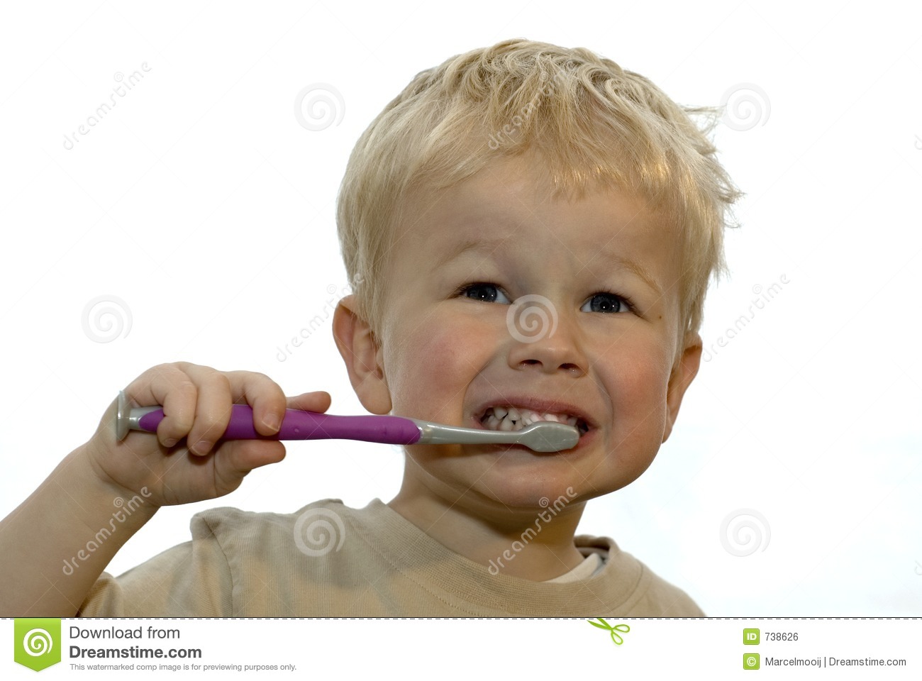Kid Brushing Teeth Royalty Free Stock Image   Image  738626