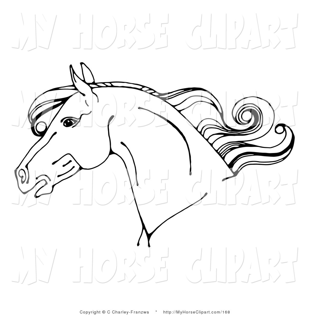 Larger Preview  Clip Art Of A Black And White Horse Head In Profile