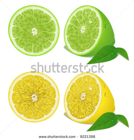 Lemon And Lime Stock Vector 9221398   Shutterstock