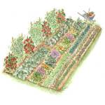 Vegetable Garden Clip Art