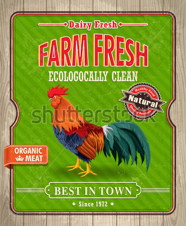     Organic Farm Fresh Rooster Poster Design Stock Vector   Clipart Me