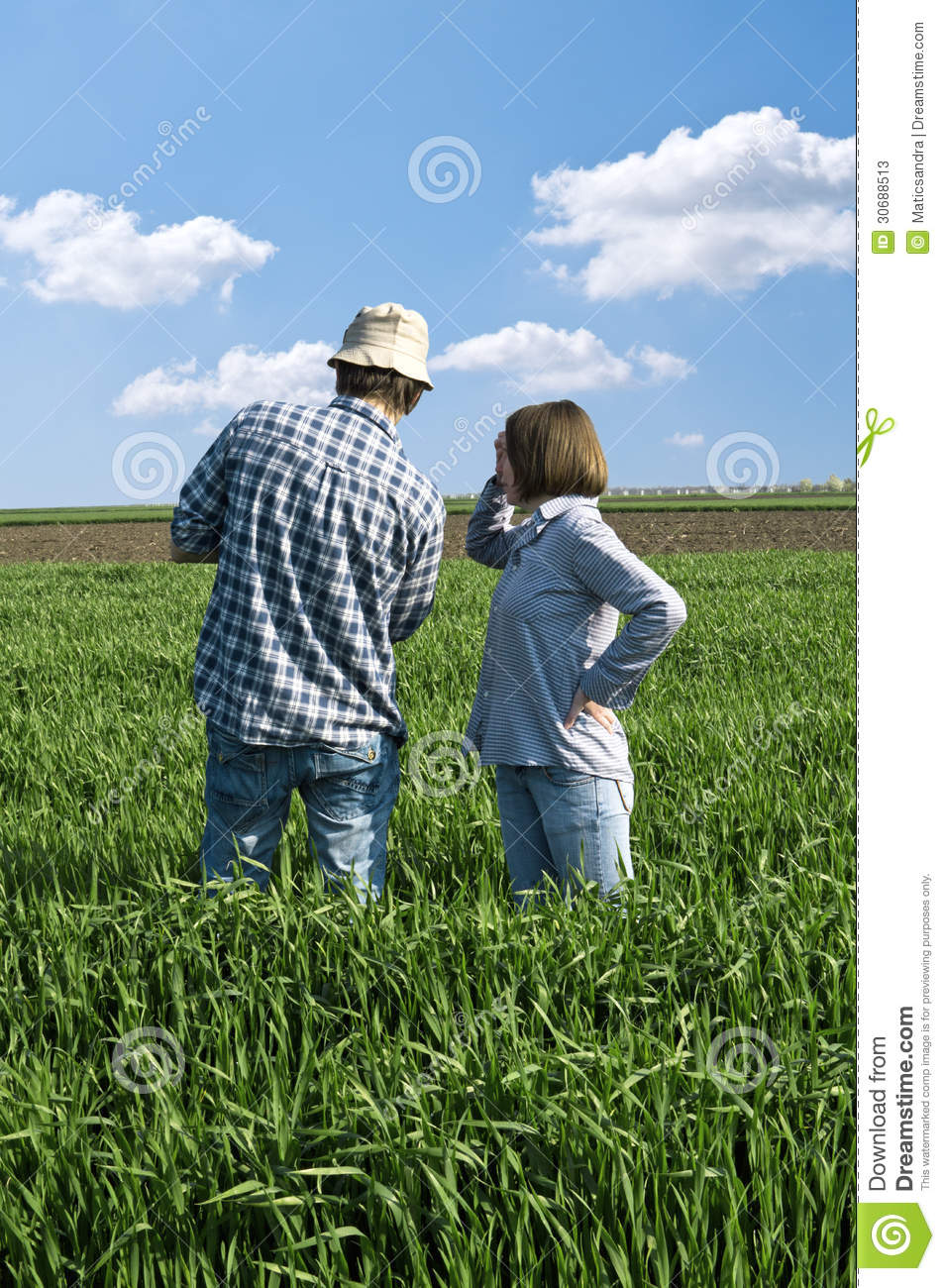 Two Farmers In A Wheat Field  Stock Photos   Image  30688513