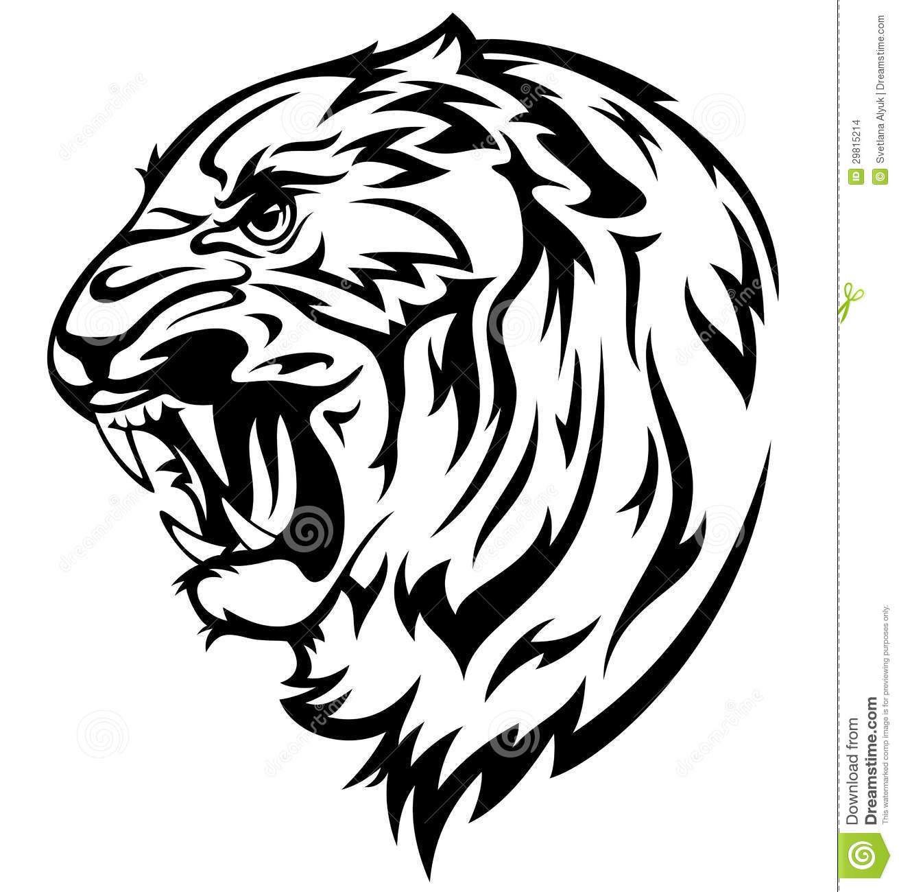 Furious Tiger Illustration   Realistic Black And White Outline Of