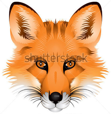 Red Fox Head Realistic Vector Image Wild Animal Wildlife Nature
