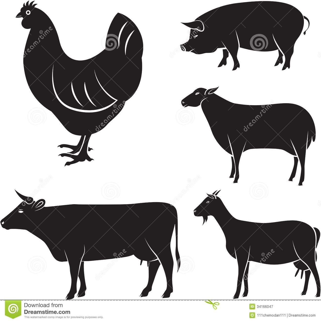 Vector Set Of Farm Animals Chicken Cow Sheep Goat Pig