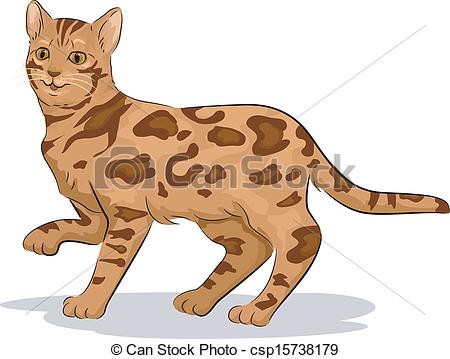 Bengal Cat With One Paw    Csp15738179   Search Clipart Illustration