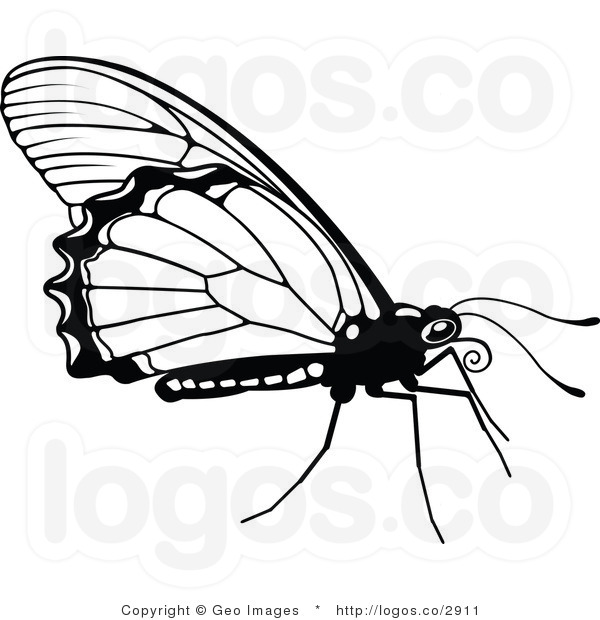  Clipart Black And White Vector Royalty Free Clipart Black And White    
