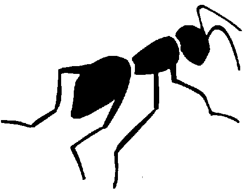 Insect Clipart Black And White   Clipart Panda   Free Clipart Images