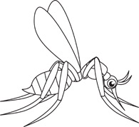 Mosquito Insects Black White Outline 997