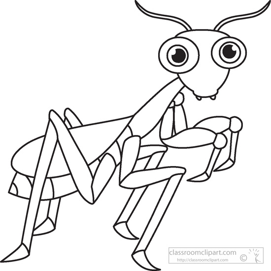Praying Mantis Insects Black White Outline 005   Classroom Clipart