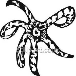 And White Drawing A Black And White Starfish Royalty Free Clipart