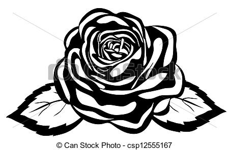 Art Vector Of Abstract Black And White Rose Close Up Isolated On White    