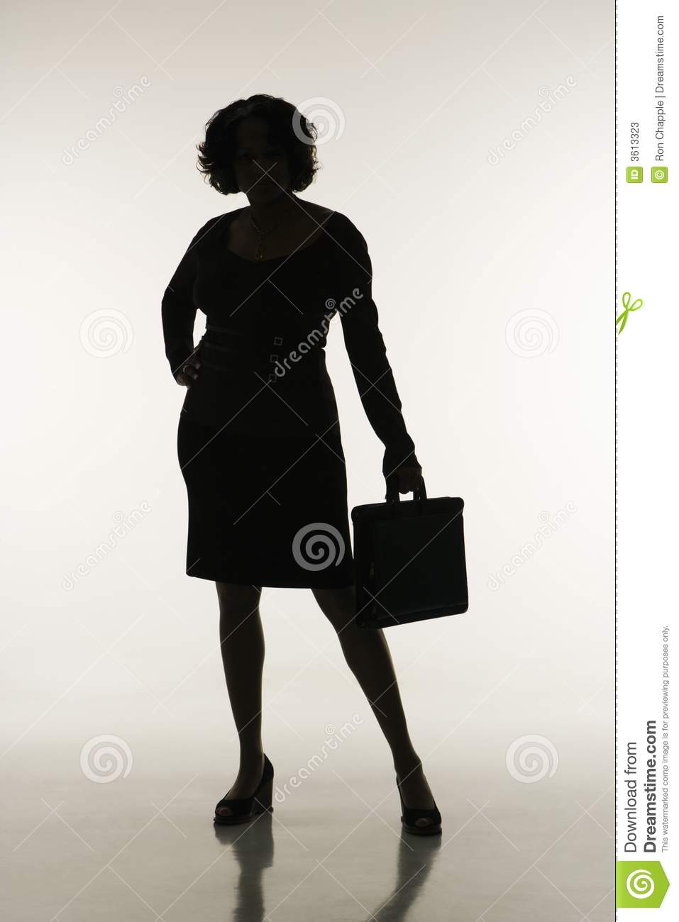 Businesswoman Silhouette 