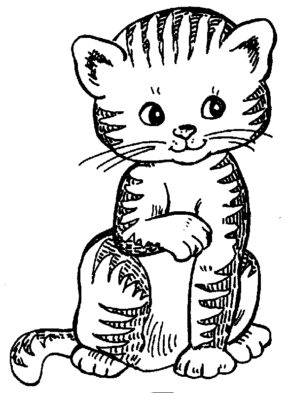 Cat Clipart Cat Clip Art