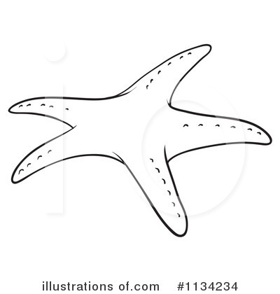 Clip Art Starfish Black And White Images   Pictures   Becuo
