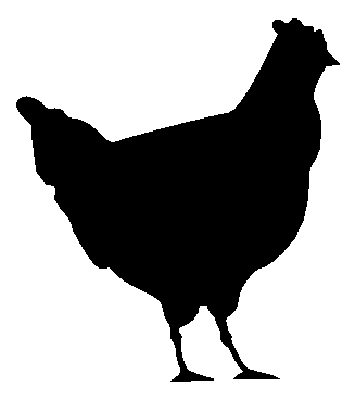Cute Chicken Clipart Black And White   Clipart Panda   Free Clipart