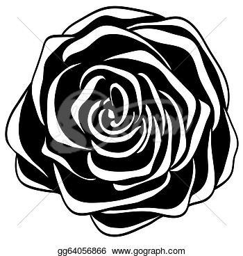 Stock Illustration   Abstract Black And White Rose  Many Similarities