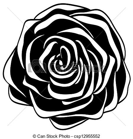 Vector   Abstract Black And White Rose    Stock Illustration Royalty