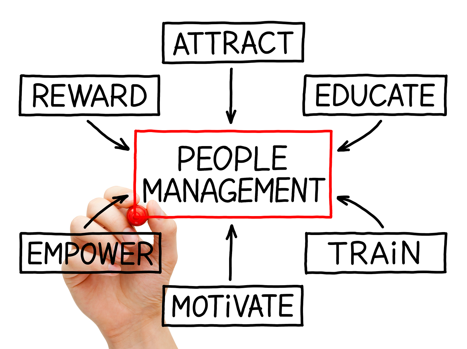 Assist A Boss   Employee Engagement Vs  Leadership Development Part