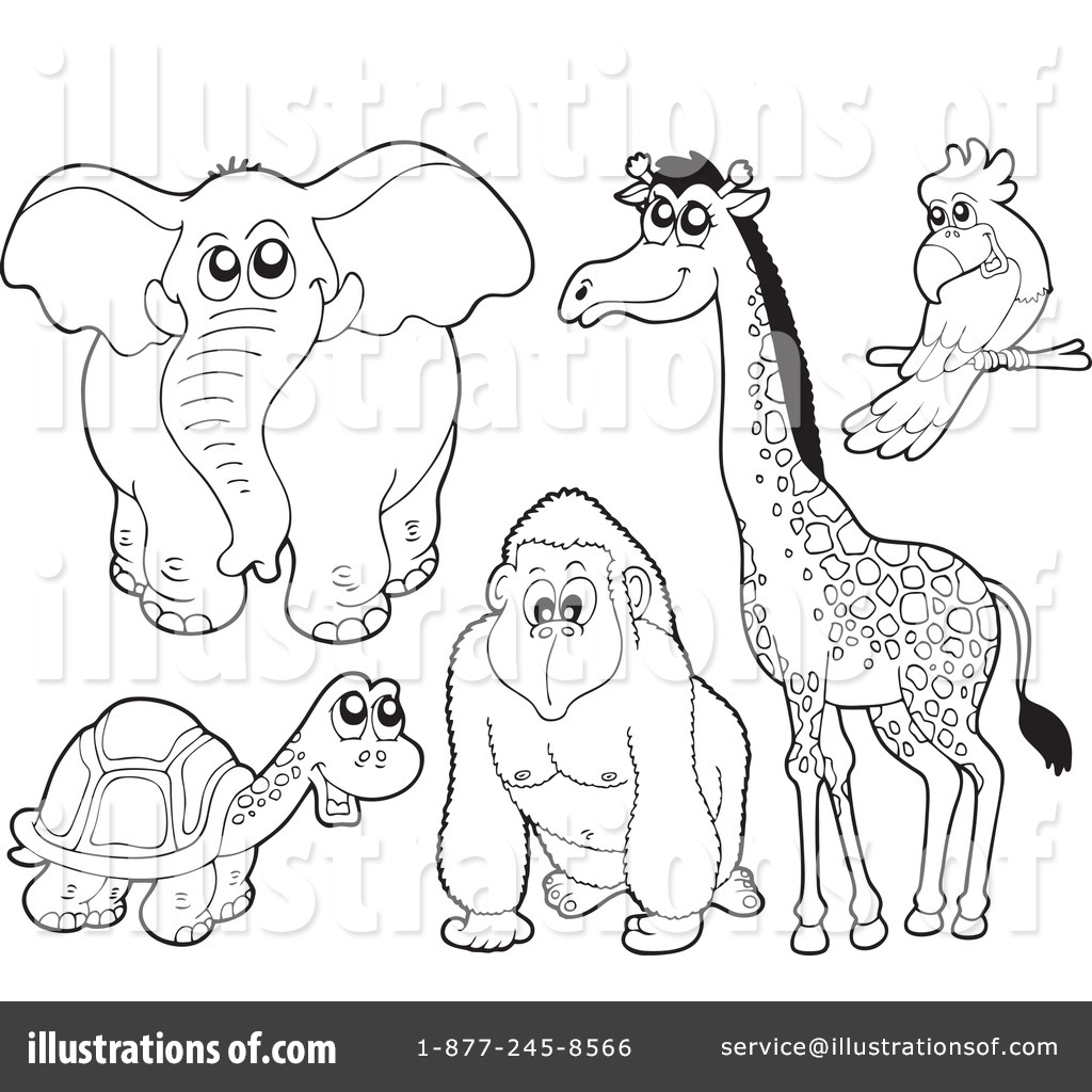 Back   Gallery For   Possum Clip Art Black And White