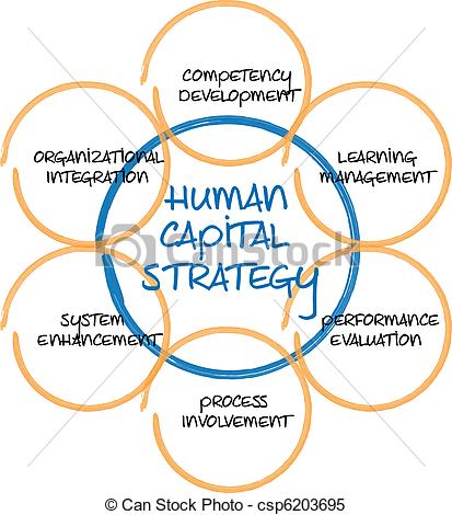 Human Capital Business Diagram Management Strategy Whiteboard Sketch