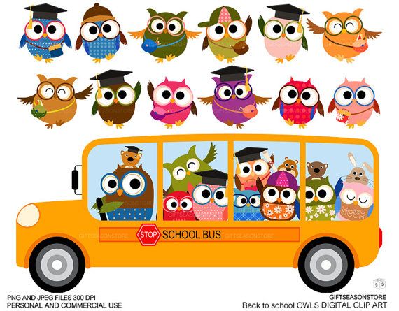 Back To School Owl Clip Art For Personal And Commercial Use   Instant    