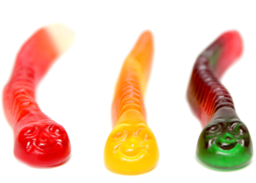 Bulk Assorted Fruit Gummy Squiggle Worms