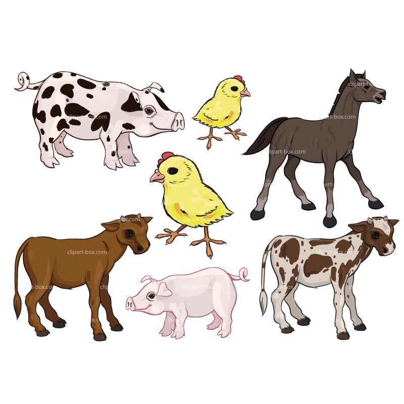 Farm Animal Clip Art Contributors