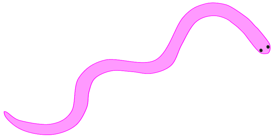 Free Worm Clipart Pictures Images   Photos   Photobucket