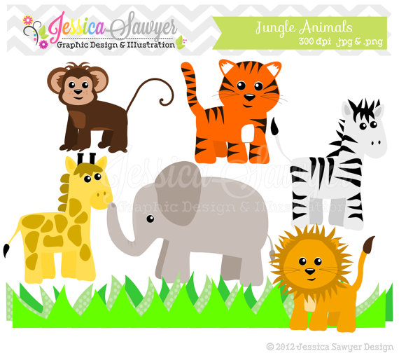 Instant Download Jungle Animal Clip Art   Lion Clipart   Wild Animal