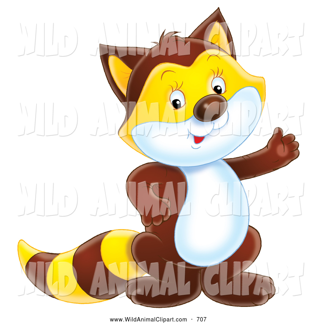 Royalty Free Stock Wildlife Clipart Of Raccoons