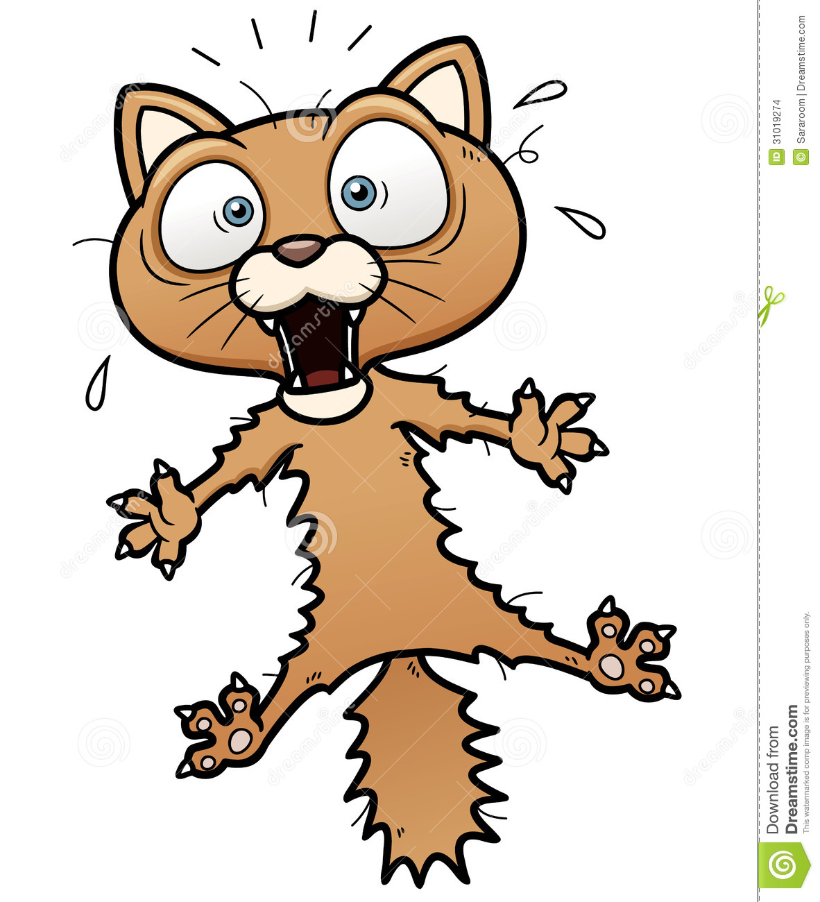 Scared Cartoon Cat Stock Images   Image  31019274