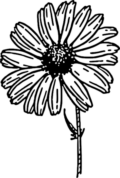 28 Free Clip Art Flowers Black And White   Free Cliparts That You Can    