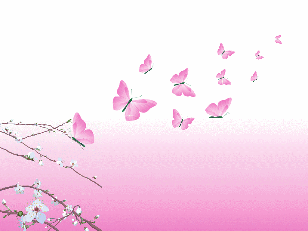 Beauty Pink Design Butterfly   Okay Wallpaper