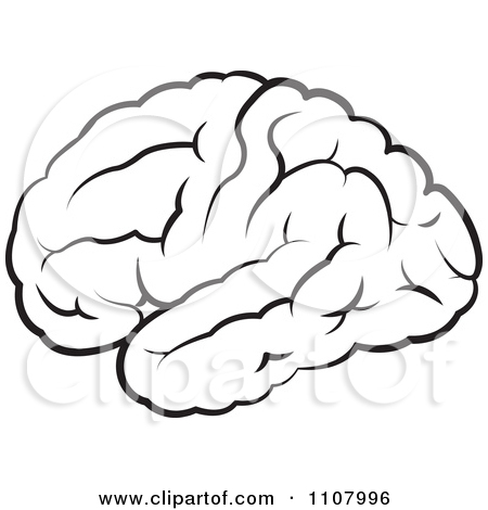 Clipart Black And White Outlined Human Brain   Royalty Free Vector