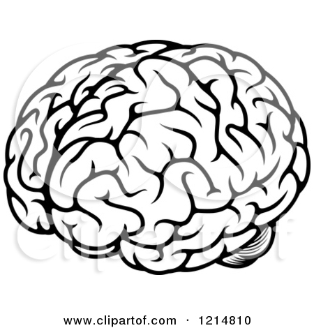 Human Brain Clipart 1214810 Clipart Of A Black And White Human Brain 3