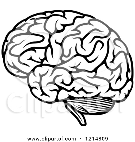 Royalty Free  Rf  Black And White Brain Clipart   Illustrations  1