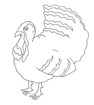 Thanksgiving Clipart Turkey Pictures