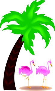 Flamingo Clipart Image   Two Pink Flamingos Standing Under A Palm Tree